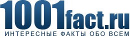 Интересные Факты